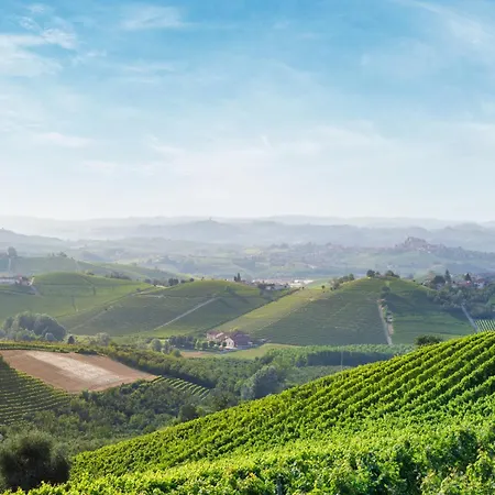 Il Cortile * 디아노 달바